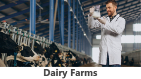 dairy farms